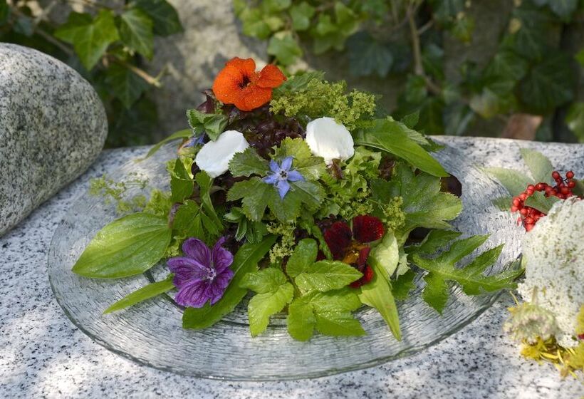 Отель Forstmeister