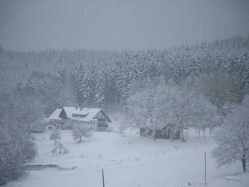 酒店 Landgasthof Cafe Gut Ahe