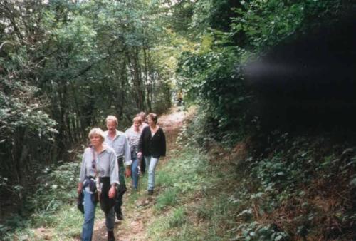 酒店 Landgasthof Cafe Gut Ahe