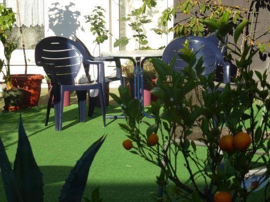 酒店 Lintforter Hof