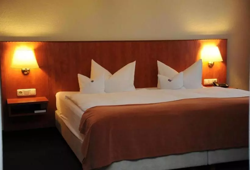 酒店 Rheinischer Hof