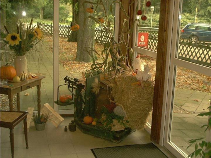 酒店 Zum Grunewald