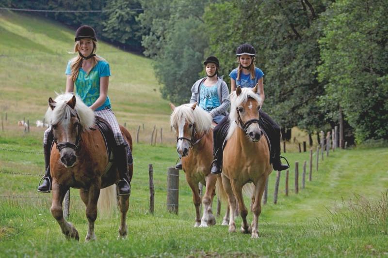 酒店 Landgasthof Cafe Gut Ahe