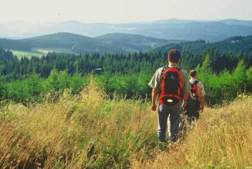 酒店 Landgasthof Cafe Gut Ahe