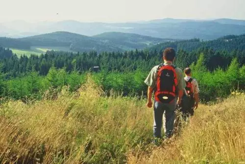 Отель Landgasthof Cafe Gut Ahe