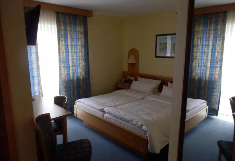 פנסיון Landgasthof & Hotel Zum Schwan Gmbh