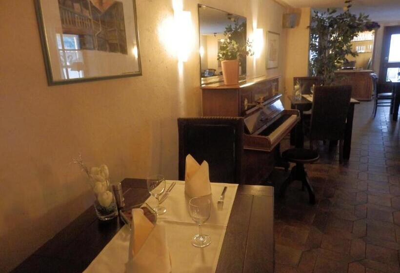 بنسيون Landgasthof & Hotel Zum Schwan Gmbh
