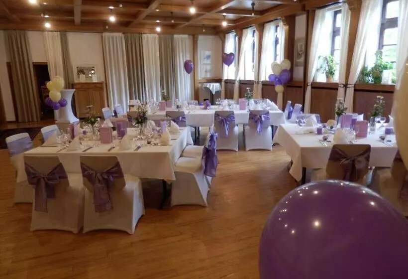 פנסיון Landgasthof & Hotel Zum Schwan Gmbh