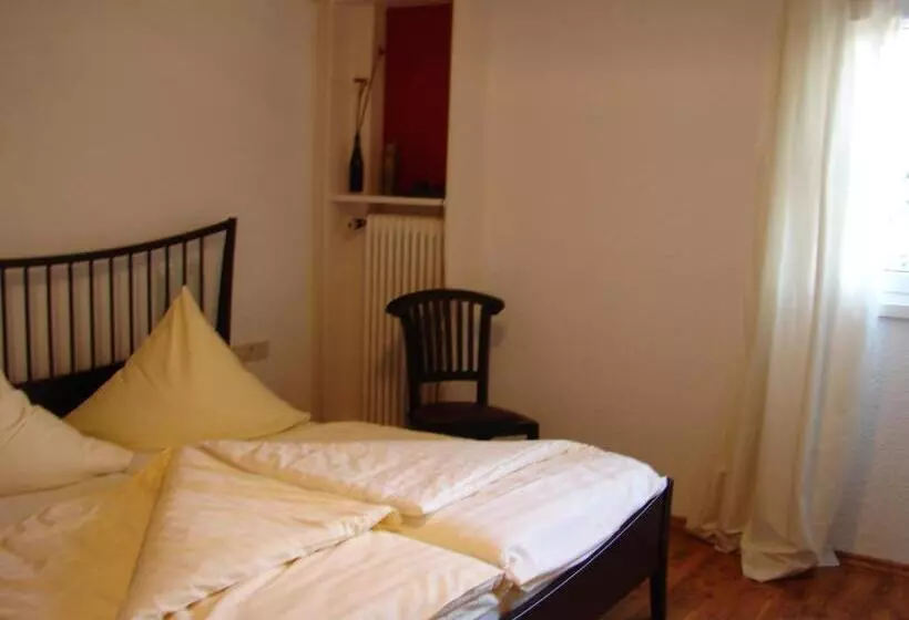 פנסיון Landgasthof & Hotel Zum Schwan Gmbh