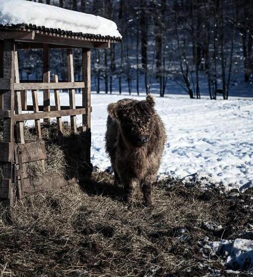 Sommers Hotel Altes Posteck