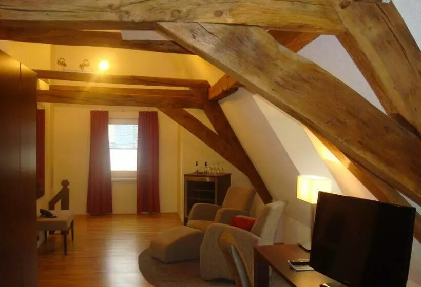 Boutique Hotel Villa Melsheimer