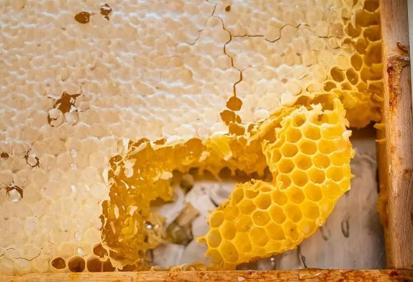 Classicx Landhaus & Hotel   Bed & Breakfast