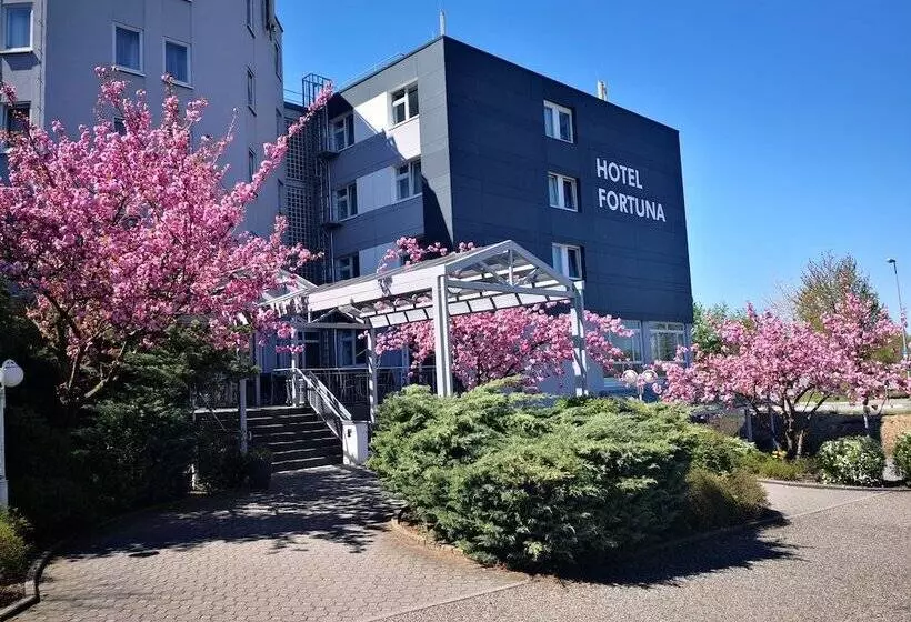 Отель Fortuna Reutlingen Tübingen