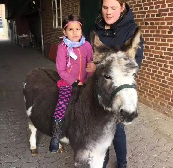 Hotelli Fräulein Sonntag Gästehaus