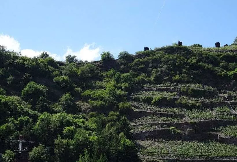 בית מלון כפרי Haupt