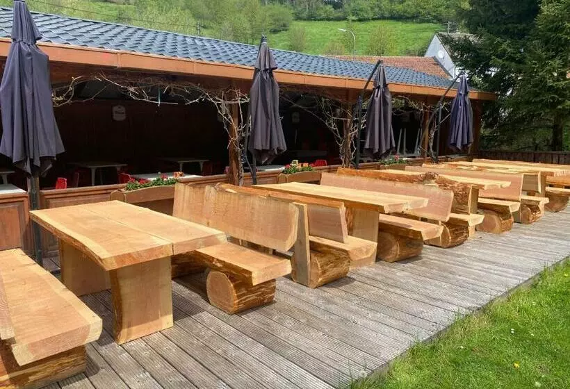 Отель Restaurant Theis Muehle