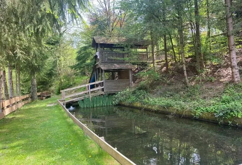 Отель Restaurant Theis Muehle