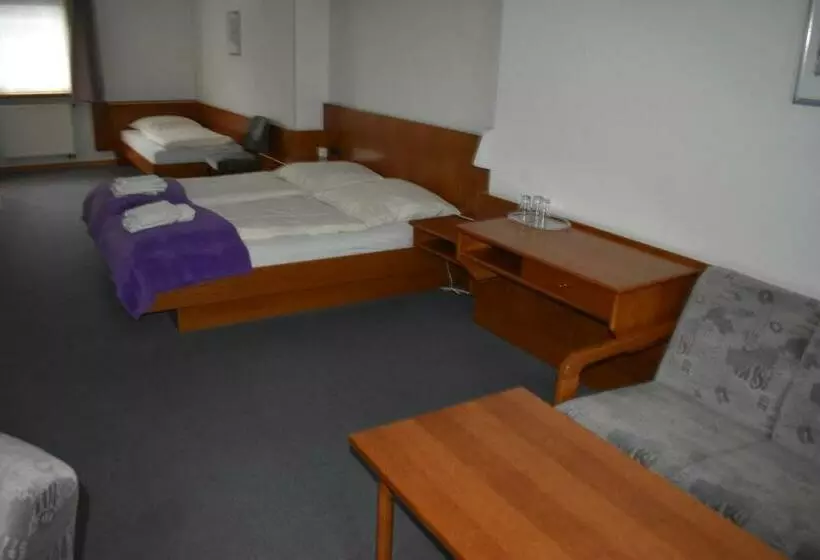 Отель Restaurant Theis Muehle