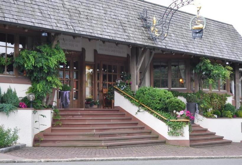 هتل Schwanen Kälberbronn