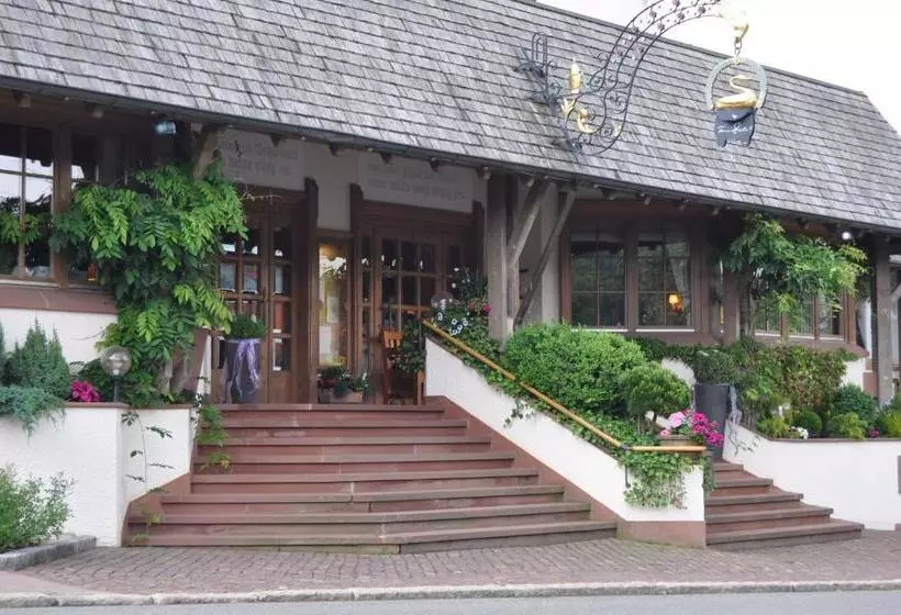 호텔 Schwanen Kälberbronn
