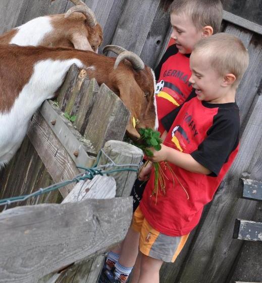 هتل Schwanen Kälberbronn