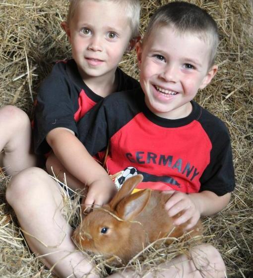 هتل Schwanen Kälberbronn