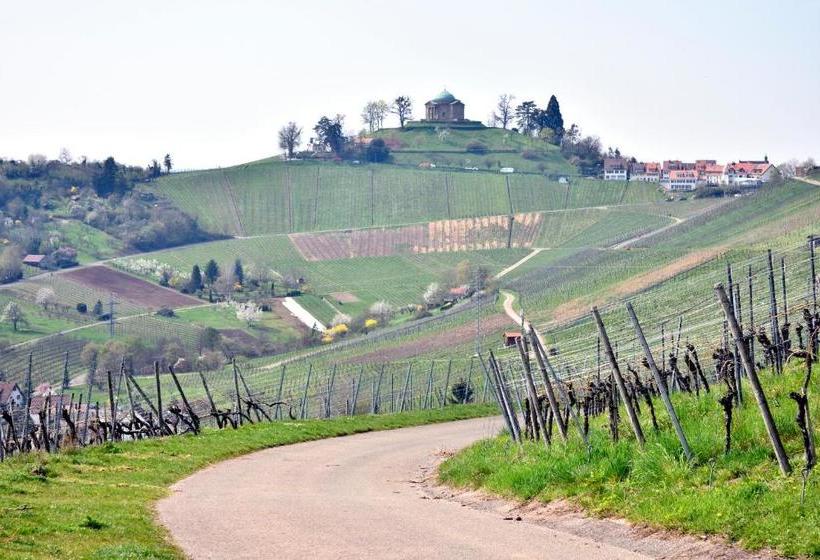 پانسیون Münzmay