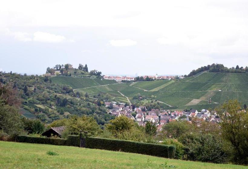 پانسیون Münzmay