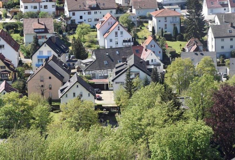 پانسیون Münzmay