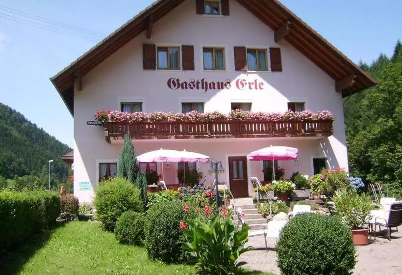 膳宿费 Gasthaus Zur Erle