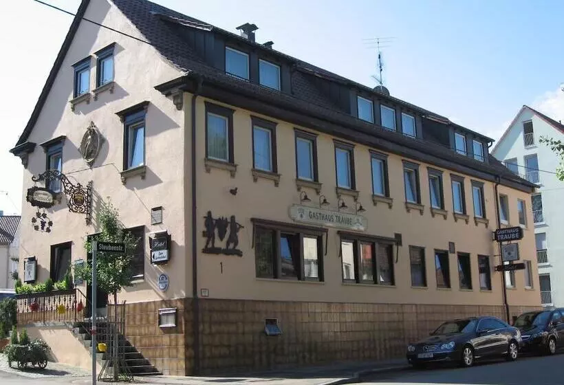 Pensionat Gasthof Traube