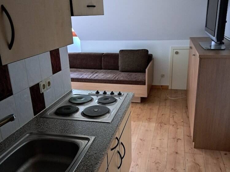 Пансион Landgasthof Löwen-schlauch