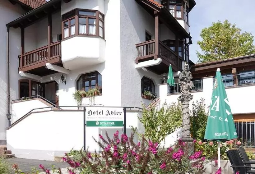 Отель Adler