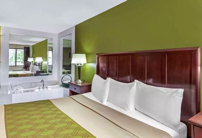 酒店 Econo Lodge Inn & Suites