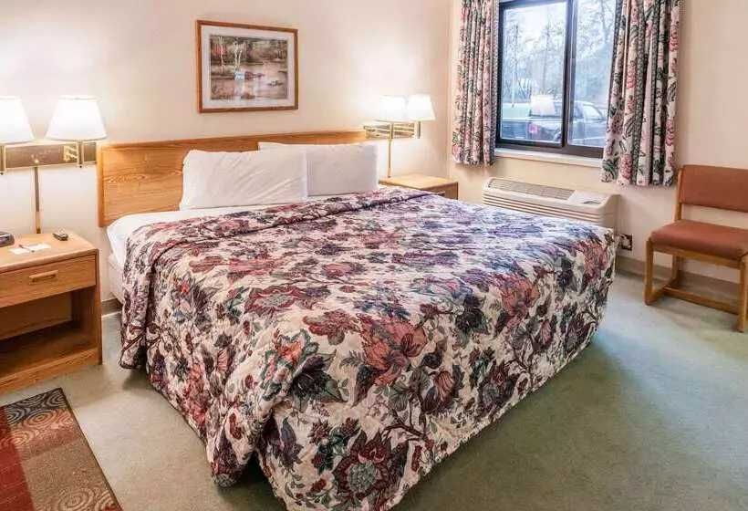 酒店 Econo Lodge Inn & Suites