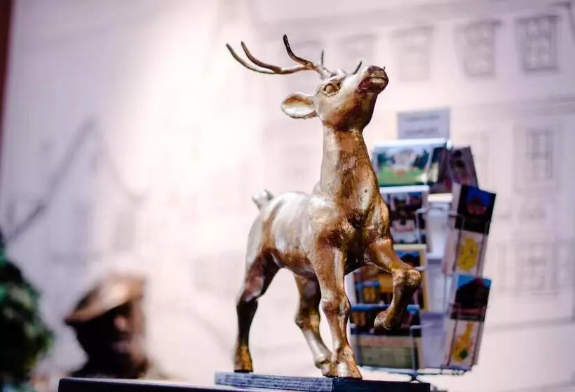 Отель Goldener Hirsch