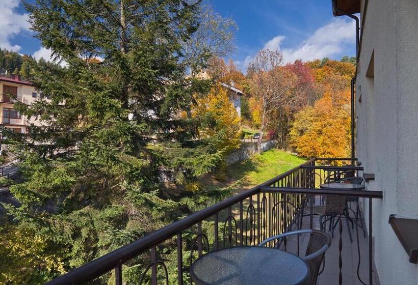 호텔 Pensjonat Henryk