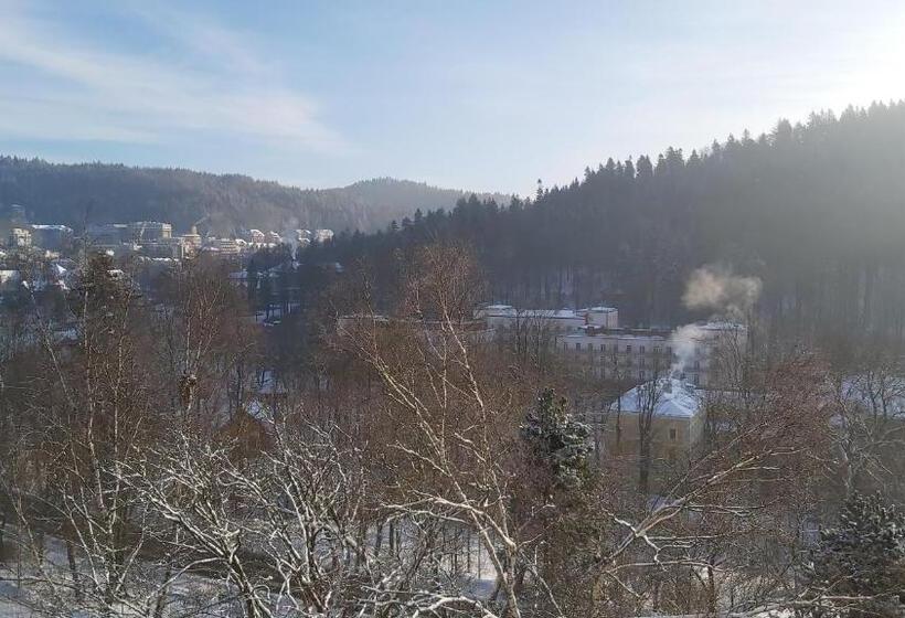 호텔 Pensjonat Henryk