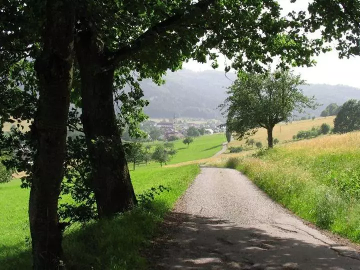 호텔 Restaurant Adler