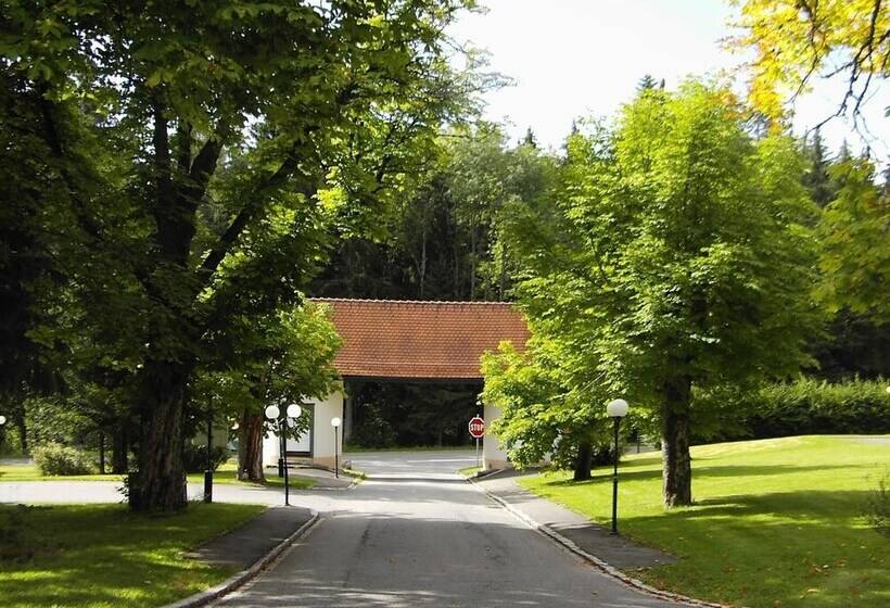 בית מלון כפרי Schwarzwald Park