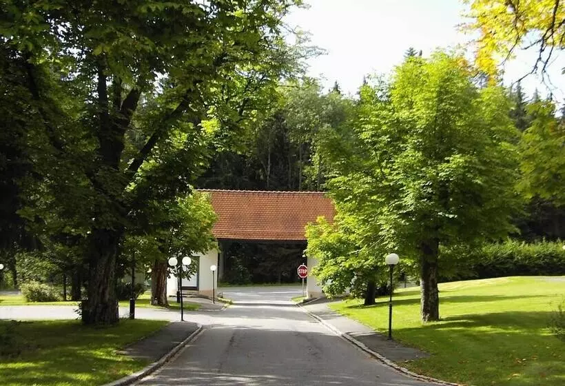 בית מלון כפרי Schwarzwald Park