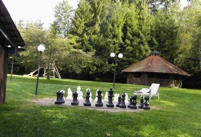 בית מלון כפרי Schwarzwald Park