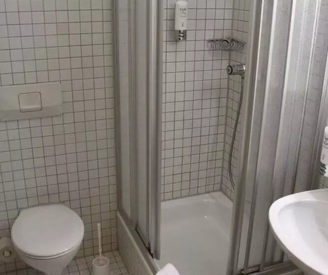 בית מלון כפרי Schwarzwald Park