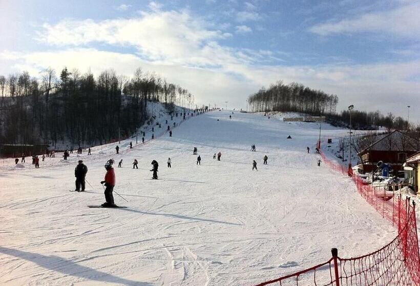 ホテル Senator Konferencje & Spa