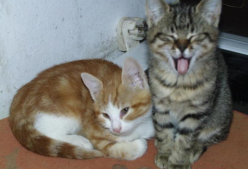 Landgasthof Waldesruh