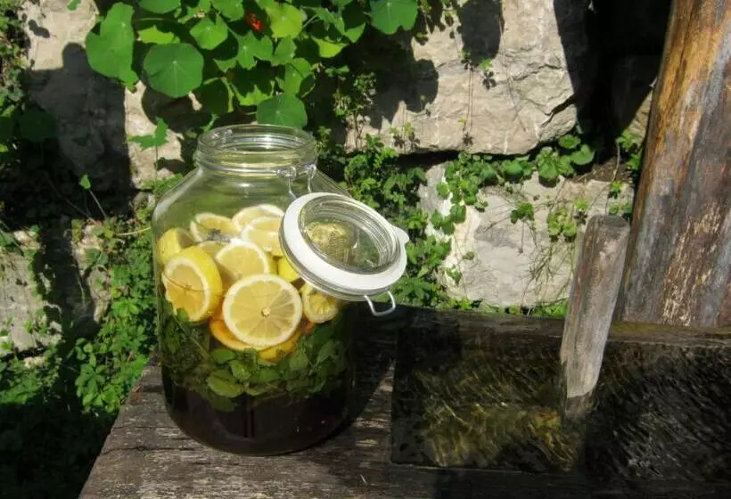 Naturidyll Hotel Hammerschmiede