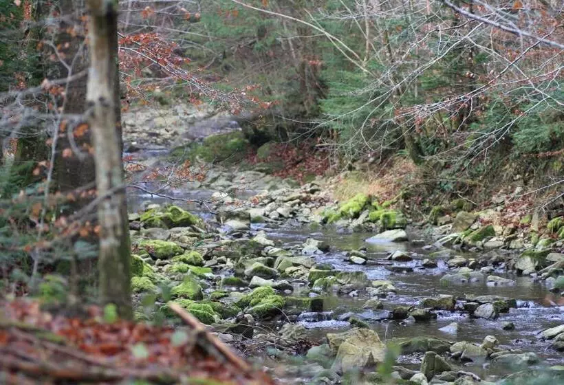 Naturidyll Hotel Hammerschmiede