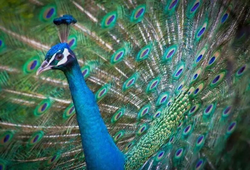 Naturidyll Hotel Hammerschmiede