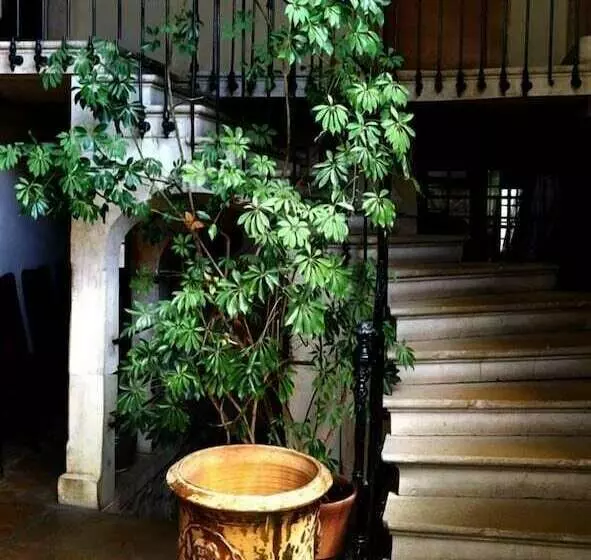 ホテル Hôtel Du Centre