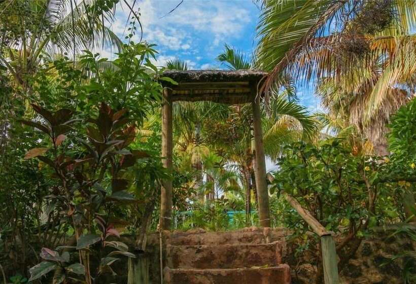 هتل Le Palms Tree Garden Hôtel & Spa